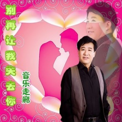 谁的伤心过客