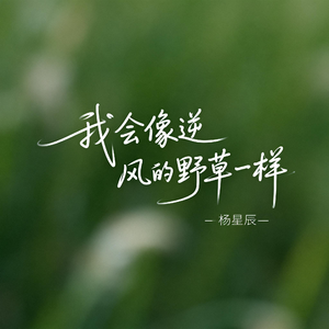 我会像逆风的野草一样