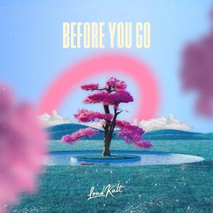 Before You Go