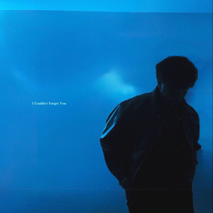 I Couldn't Forget You