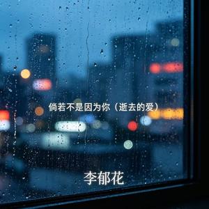 倘若不是因为你（逝去的爱）