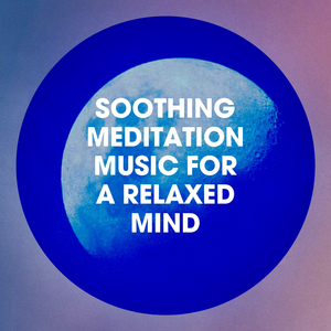 Follow the Zen Horizon