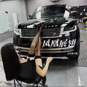 凤凰展翅（Remix）