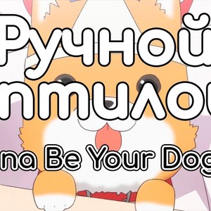 I Wanna Be Your Dog Now (кавёр)