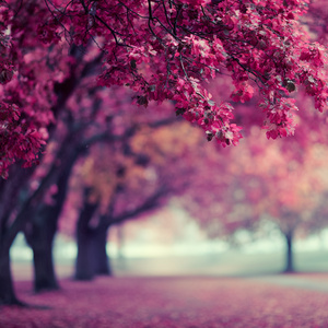 One day