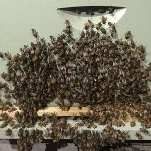 There's a Ghost in Here: This Place Is Haunted