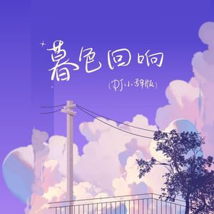 暮色回响（DJ小辞版）