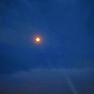 她在地球的另一边