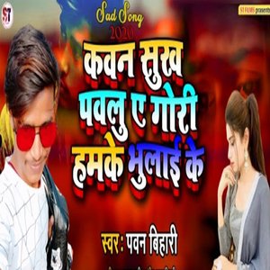 Kavan sukh pavlu e gori humke bhulai ke