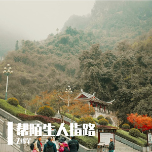 帮陌生人指路