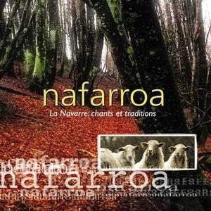 Nafarroa Arragoa