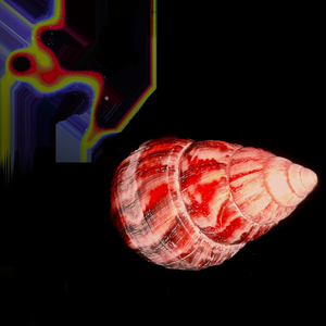 No Existen los Lavados de Cerebro