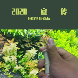 山藤雄子讲龙珠第四期(龙珠总体发展史)