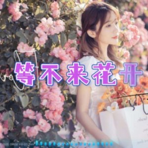 等不来花开