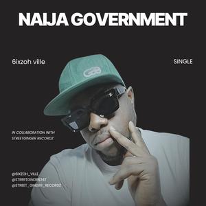 Naija government