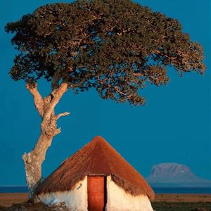 [FREE]Afro Trap x Drill