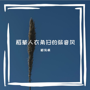 儋蓝囱迅