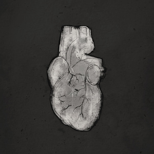 Can't Help Falling in Love With You