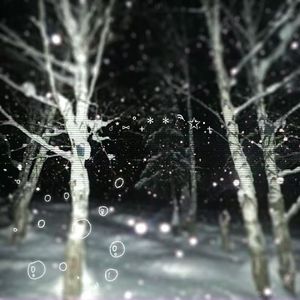 失雪的冬（prod.aura+wentyone+aton)