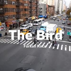 The Bird