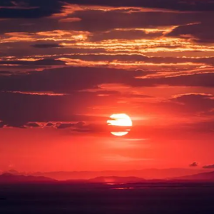 先生心里有她人