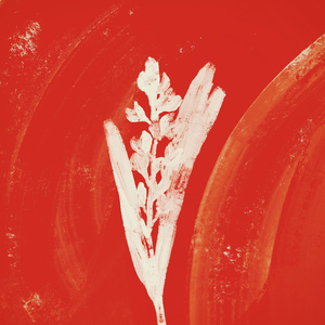 이젠 널 놓아줘야 할 것 같아