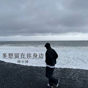 多想留在你身边