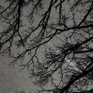 изменилась