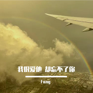 我很爱他 却忘不了你