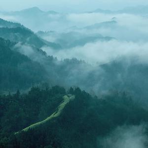 梅花三弄 养生音乐补肾益肾