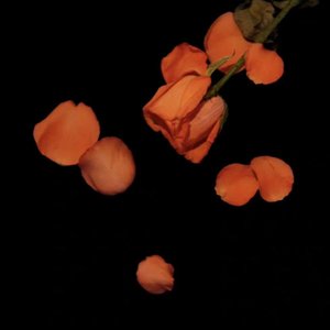 7muz-fake love（徐长卿 remix）