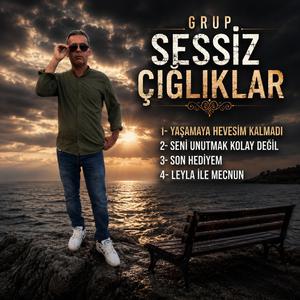Leyla ile Mecnun