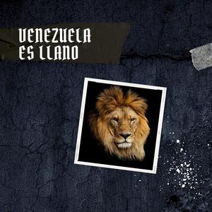 ENAMORADO EN LA MANGA