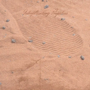 So You Think You Can Cry