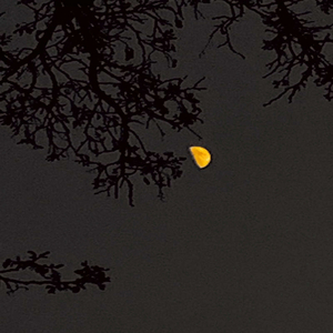 Случайность