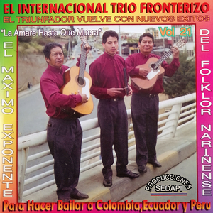 Chamizas
