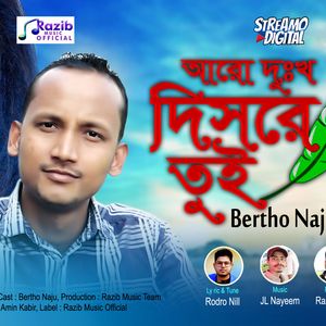 আরো দুঃখ দিসরে তুই ব্যর্থ