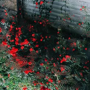 忘了算了+花间