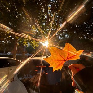 PhoenixRise涅槃御风行