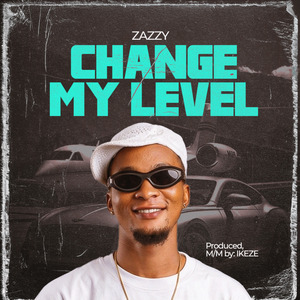 Change My Level