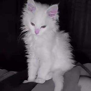 所有的幸福和甜蜜