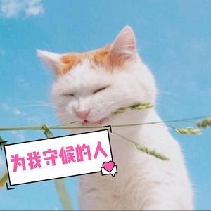 你的笑脸（抖音版）