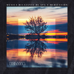 Instrumentista Músico