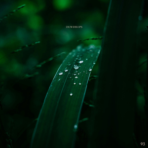 Dewdrops