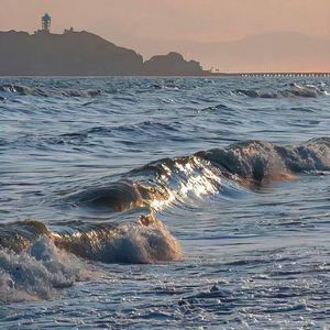 我的一个道姑朋友