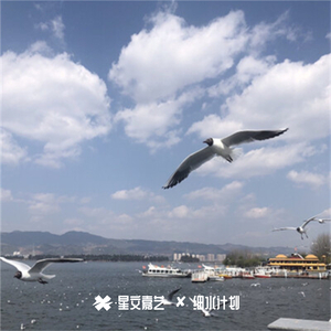 看淡人事