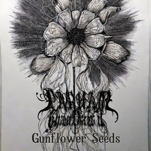Gunflower Seeds