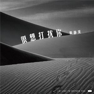 很想打扰你