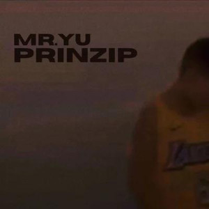 Prinzip