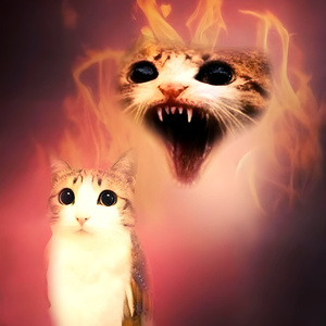 Language (Slowed & Reverb)